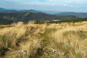 Jesienna panorama gór Beskidu Śląskiego.