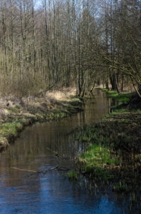 Spokojny nurt rzeki Gzówki przecinający zalesiony krajobraz Puszczy Kozienickiej.